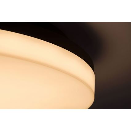 Rabalux - Iluminação de teto de casa de banho LED LED/24W/230V IP54