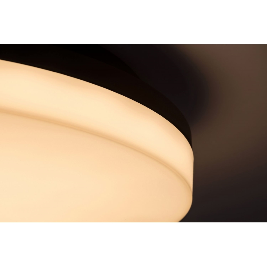 Rabalux - Iluminação de teto de casa de banho LED LED/24W/230V IP54