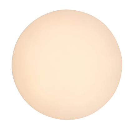 Rabalux - Iluminação de teto de casa de banho LED LED/24W/230V IP54
