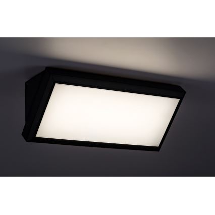 Rabalux - Iluminação de parede exterior LED LED/12W/230V IP54