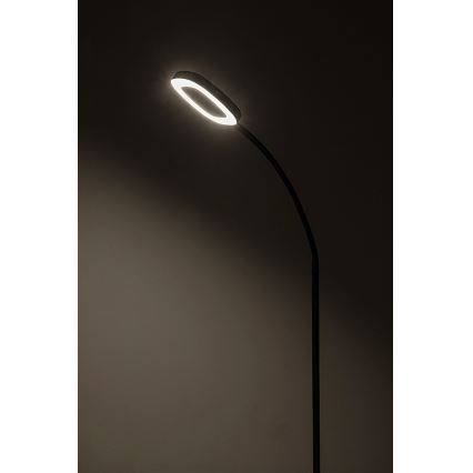 Rabalux - Candeeiro de chão LED táctil com regulação LED/11W/230V 3000K
