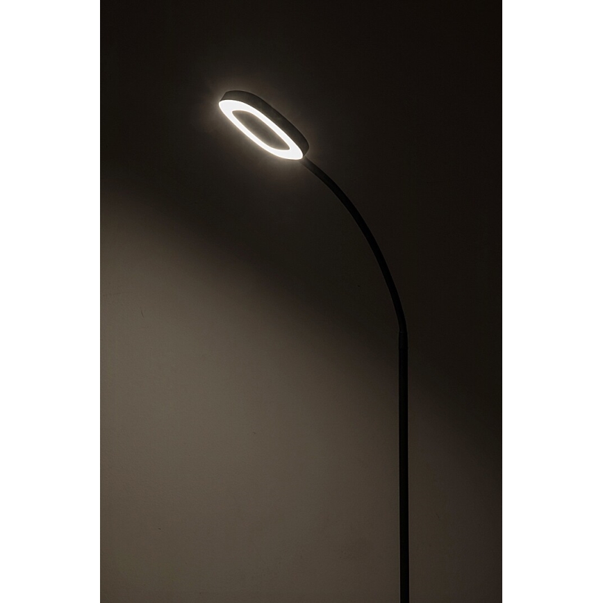 Rabalux - Candeeiro de chão LED táctil com regulação LED/11W/230V 3000K