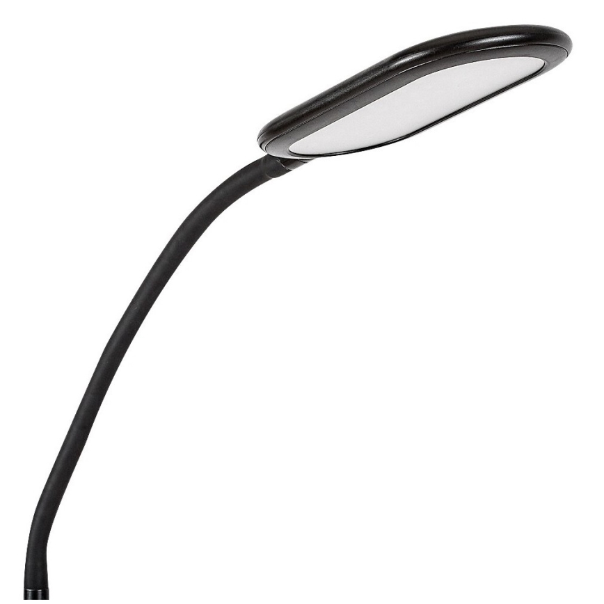 Rabalux - LED Regulação touch candeeiro de chão LED/10W/230V 3000-6000K preto