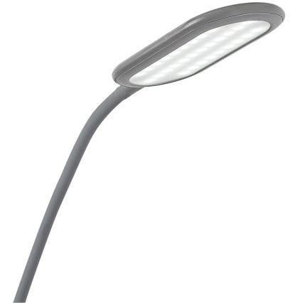 Rabalux - LED Regulação touch candeeiro de chão LED/10W/230V 3000-6000K cinzento