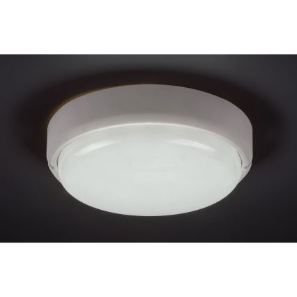 Rabalux - Iluminação de teto exterior LED LED/15W/230V IP54 branco