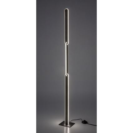 Rabalux - Candeeiro de chão LED com regulação LED/33W/230V 3000/4000K preto