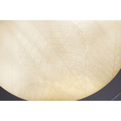 Rabalux - Luminária de teto para casa de banho 2xE27/40W/230V IP44