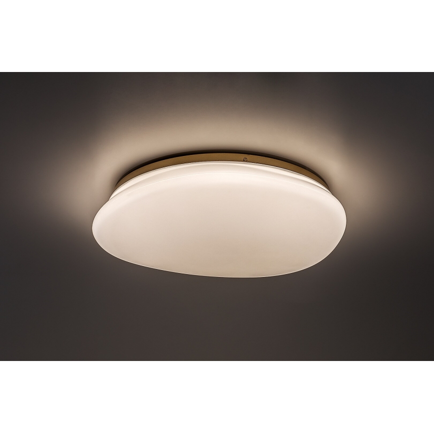 Rabalux - Candeeiro de teto para casa de banho LED/24W/230V IP44 Ø 41 cm