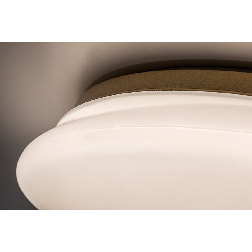 Rabalux - Candeeiro de teto para casa de banho LED/24W/230V IP44 Ø 41 cm