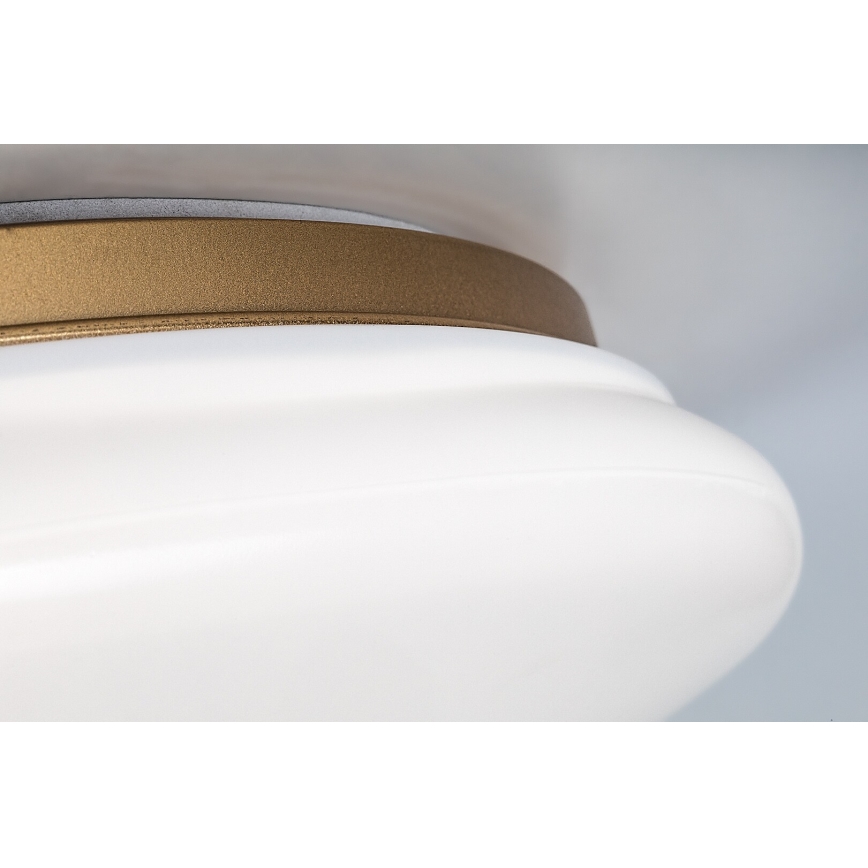 Rabalux - Candeeiro de teto para casa de banho LED/24W/230V IP44 Ø 41 cm