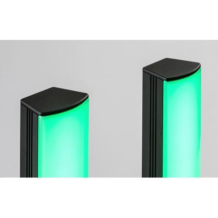 Rabalux - CONJUNTO 2x LED RGB Candeeiro de mesa com regulação PACO LED/5W/5V + controlo remoto