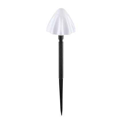Rabalux - Iluminação solar LED 10xLED/0,2W/1,2V IP44