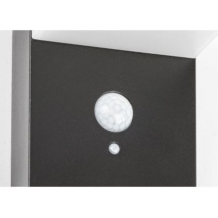 Rabalux - Iluminação solar LED com sensor LED/6W/3,7V IP44