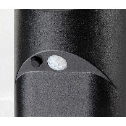 Rabalux - Iluminação solar LED com sensor LED/3,6W/3,7V IP44