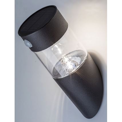 Rabalux - Iluminação solar LED com sensor LED/1,5W/3,7V IP44 600 mAh