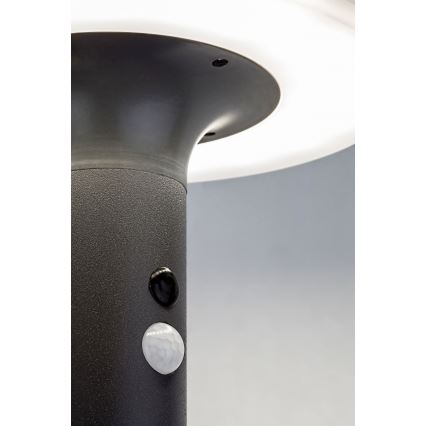 Rabalux - Iluminação solar LED com sensor LED/10W/3,7V IP44