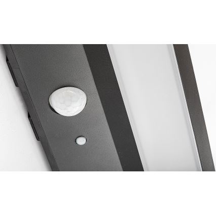 Rabalux - Iluminação solar LED com sensor LED/6W/3,7V IP44