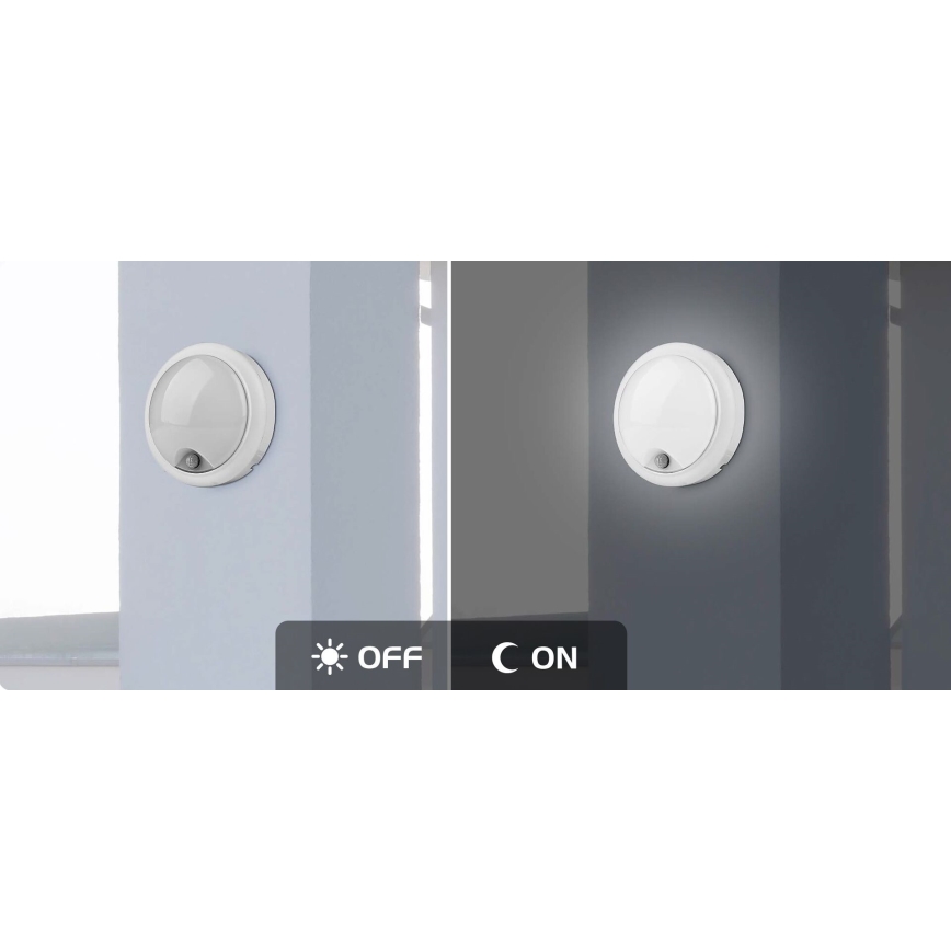 Rabalux - Iluminação de parede exterior LED com sensor LED/15W/230V IP54