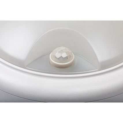 Rabalux - Iluminação de parede exterior LED com sensor LED/15W/230V IP54