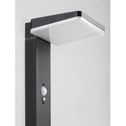 Rabalux - Candeeiro de exterior solar regulável com sensor LED/4,4W/3,7V IP54 antracite
