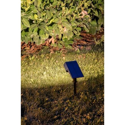 Rabalux - Luminária Solar LED LED/0,5W/3,7V IP65 preta 3000 mAh