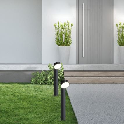 Rabalux - Candeeiro exterior LED LED/12W/230V IP54