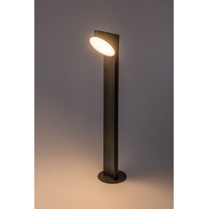Rabalux - Candeeiro exterior LED LED/12W/230V IP54