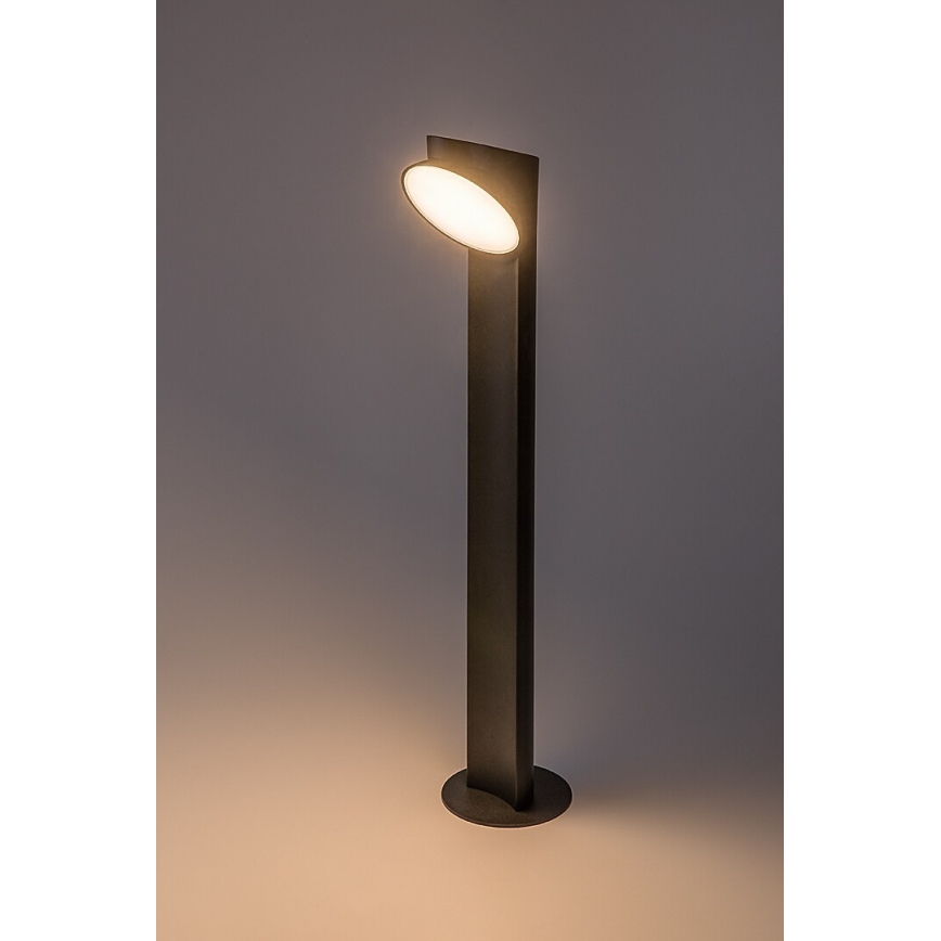Rabalux - Candeeiro exterior LED LED/12W/230V IP54