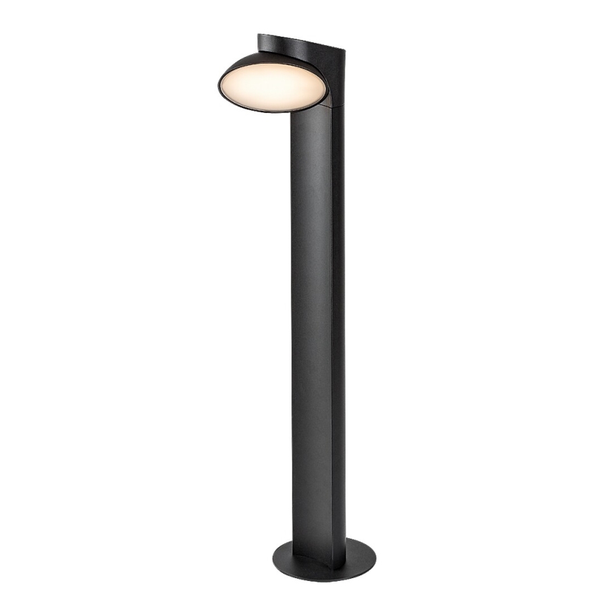 Rabalux - Candeeiro exterior LED LED/12W/230V IP54