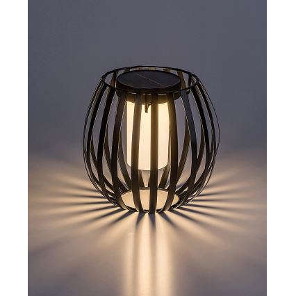 Rabalux - Iluminação solar LED LED/1W/1,2V 300mAh IP44