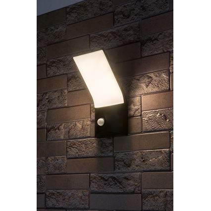 Rabalux - Iluminação de parede LED xterior com sensor LED/10W/230V IP54