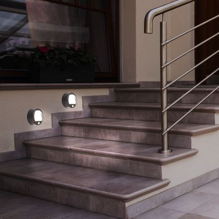 Rabalux - Luz de parede LED de exterior com sensor LED/1,5W/3xAA IP44