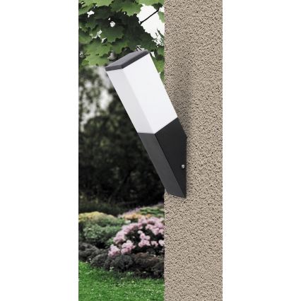 Rabalux - Luz de parede de exterior 1xE27/60W/230V IP44