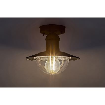 Rabalux - Luz de teto de exterior 1xE27/60W IP44