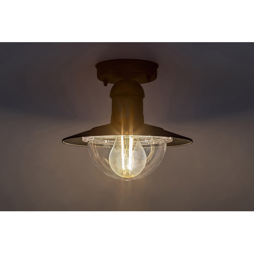Rabalux - Luz de teto de exterior 1xE27/60W IP44