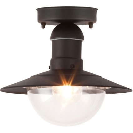 Rabalux - Luz de teto de exterior 1xE27/60W IP44