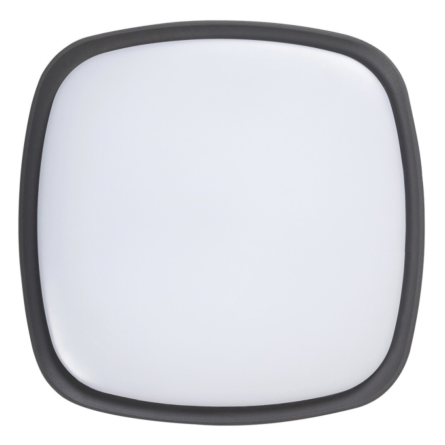 Rabalux - Luz de teto de exterior LED LED/20W/230V IP65