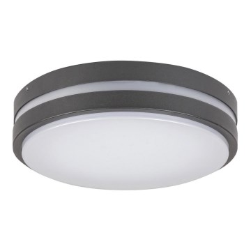 Rabalux 8848 - Luz de parede LED de exterior HAMBURG LED/12W/230V IP44
