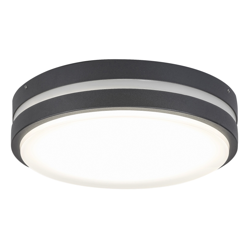 Rabalux 8848 - Luz de parede LED de exterior HAMBURG LED/12W/230V IP44