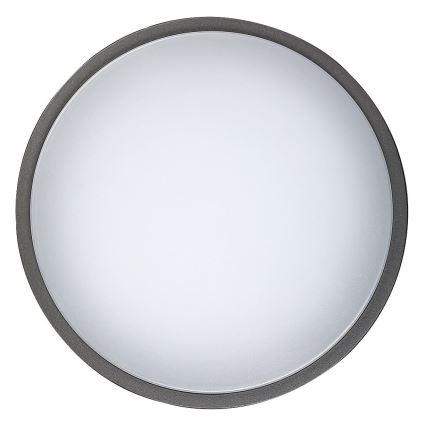 Rabalux 8848 - Luz de parede LED de exterior HAMBURG LED/12W/230V IP44