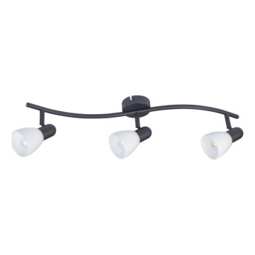 Rabalux - Candeeiro de focos 3xE14/40W/230V