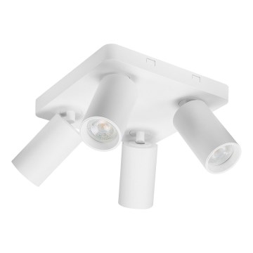 Rabalux - Candeeiro de teto 4xGU10/7W/230V branco