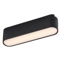 Rabalux - Candeeiro de teto LED para sistema de carris monofásico LED/6W/230V 3000K 11,5 cm preto