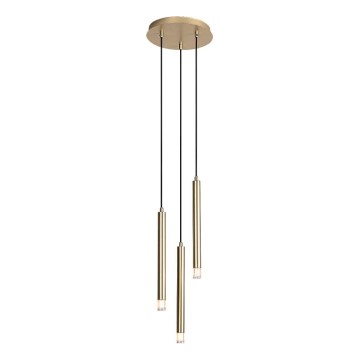Rabalux - Candeeiro suspenso 3xG9/5W/230V dourado