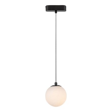 Rabalux - Candeeiro suspenso LED para sistema de carris monofásico LED/5W/230V 3000K preto
