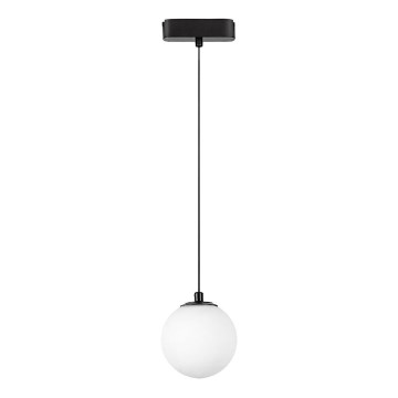 Rabalux - Candeeiro suspenso LED para sistema de carris monofásico LED/5W/230V 4000K preto