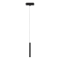 Rabalux - Candeeiro suspenso LED para sistema de carris monofásico LED/5W/230V 4000K preto