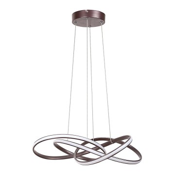 Rabalux - Candelabro num fio LED LED/40W/230V
