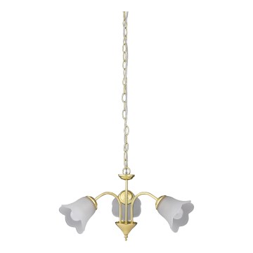 Rabalux - Candelabro numa corrente 3xE14/40W/230V