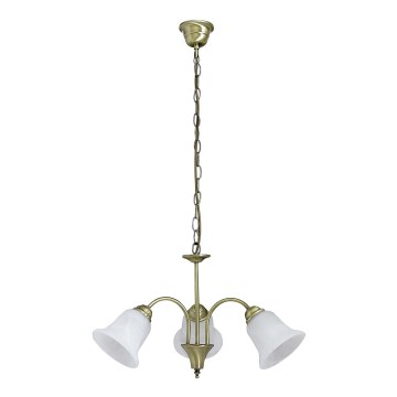 Rabalux - Candelabro numa corrente 3xE14/40W/230V